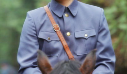 电视剧红流,烽火岁月里的青春传奇