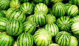 长沙吃瓜爆料最火新娘,吃瓜爆料中的璀璨焦点