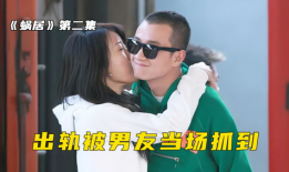 出轨的电视剧有哪些,盘点那些揭示出轨真相的电视剧