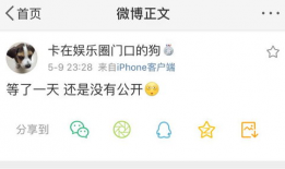 偶念的吃瓜爆料号,偶念吃瓜爆料号带你探秘明星幕后故事