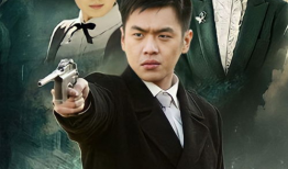 黑狐电视剧免费观看,揭秘神秘特工传奇，免费观看尽享谍战风云